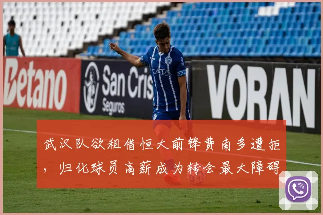 武汉队欲租借恒大前锋费南多遭拒，归化球员高薪成为转会最大障碍